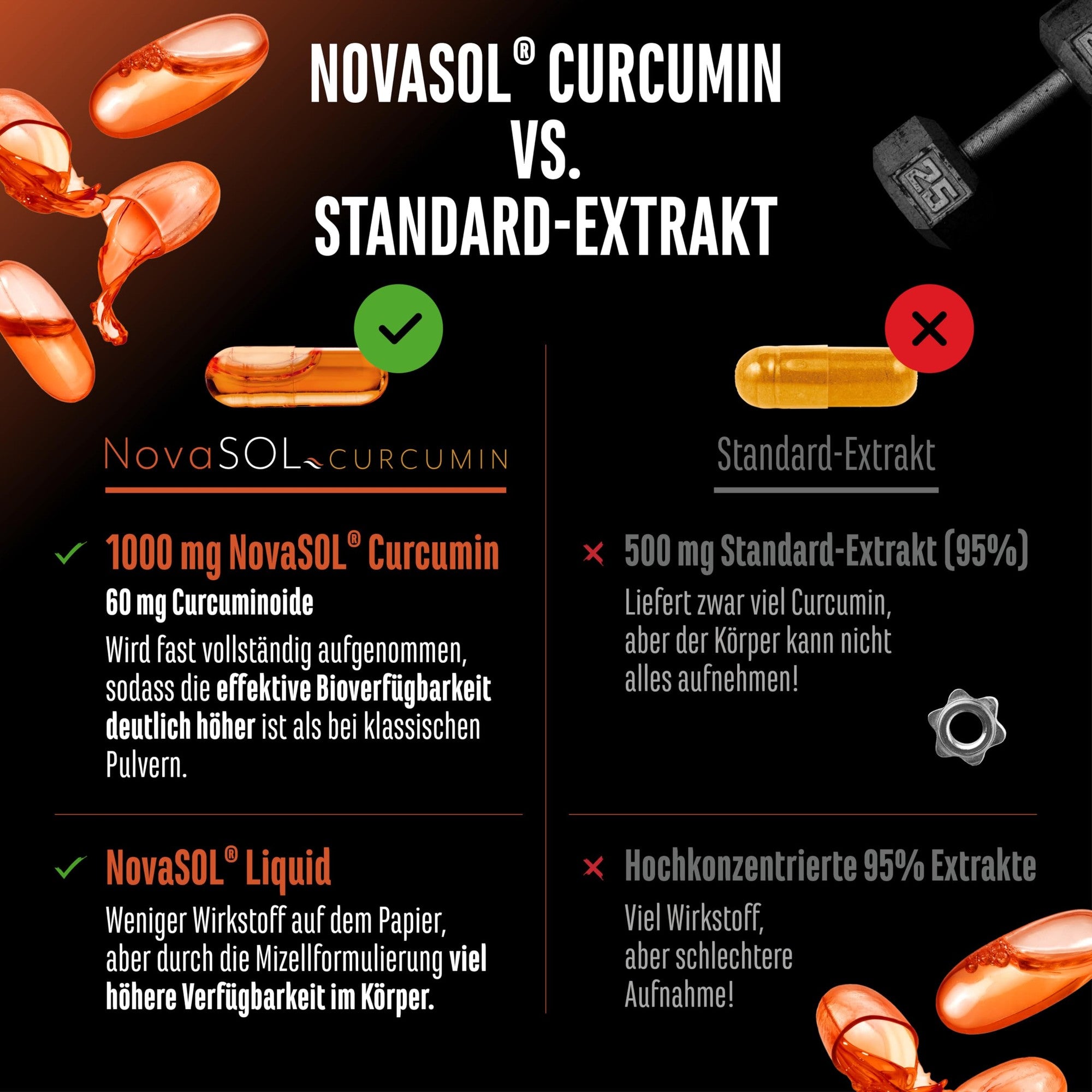 Curcumin Flüssig NovaSOL 1000mg 120 Kapseln – Inhaltsstoffe