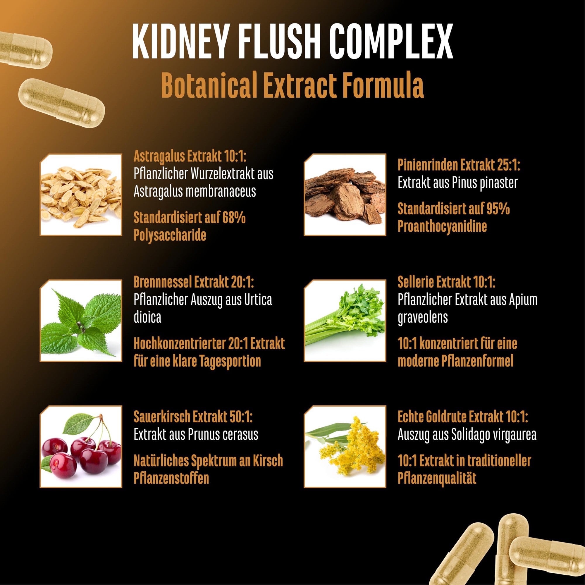 Kidney Essentials Botanischer Flush Complex 270 Kapseln – Wirkstoffe & Dosierung
