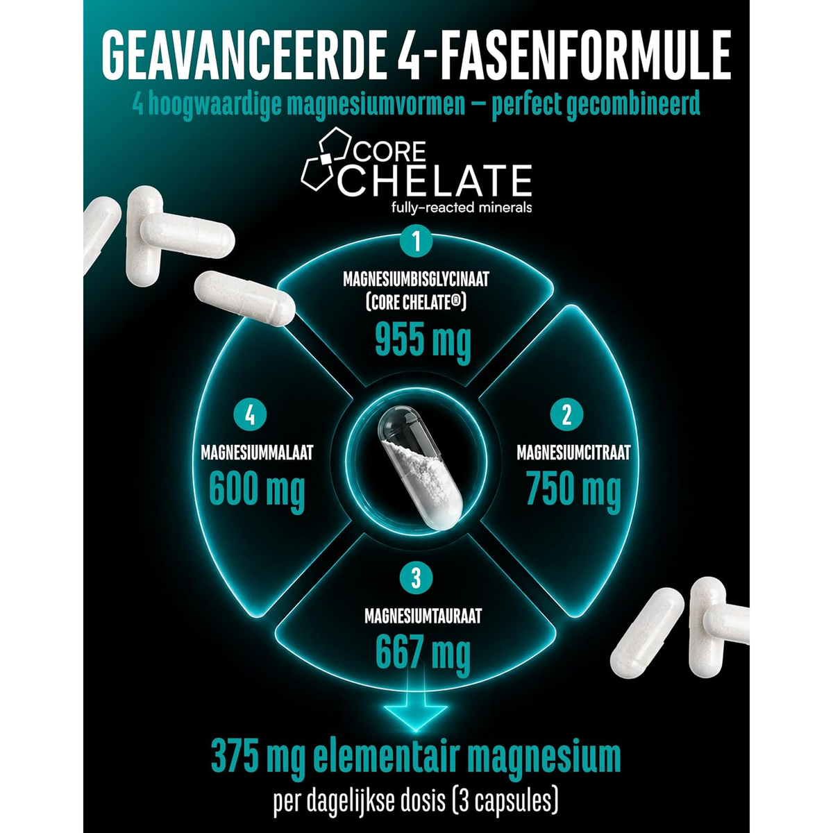 Magnesium Complex 375mg | 4 Formen | 300 Kapseln | GEN