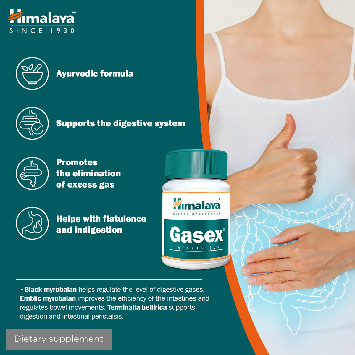 Gasex | 100 Tabletten | Himalaya