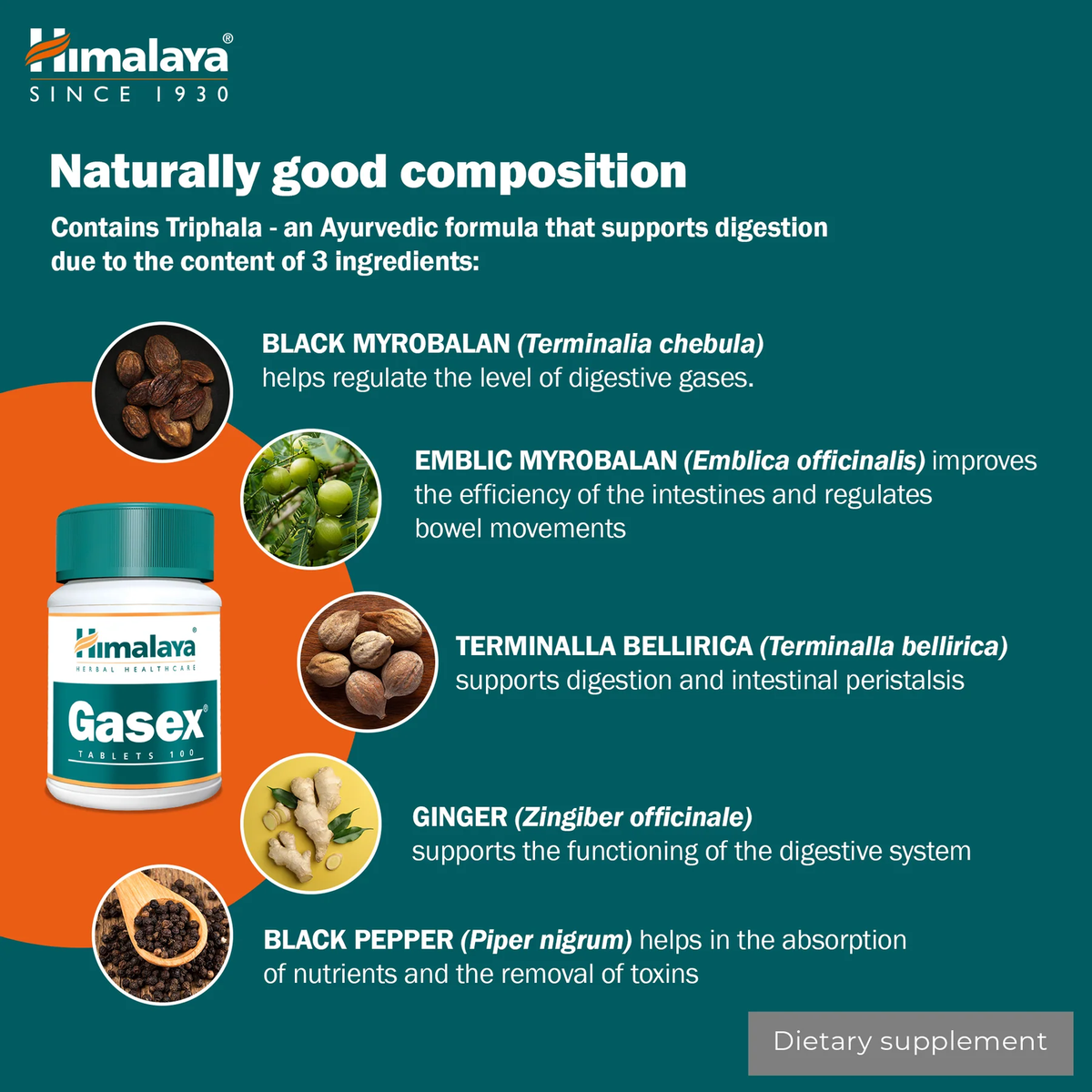 Gasex | 100 Tabletten | Himalaya