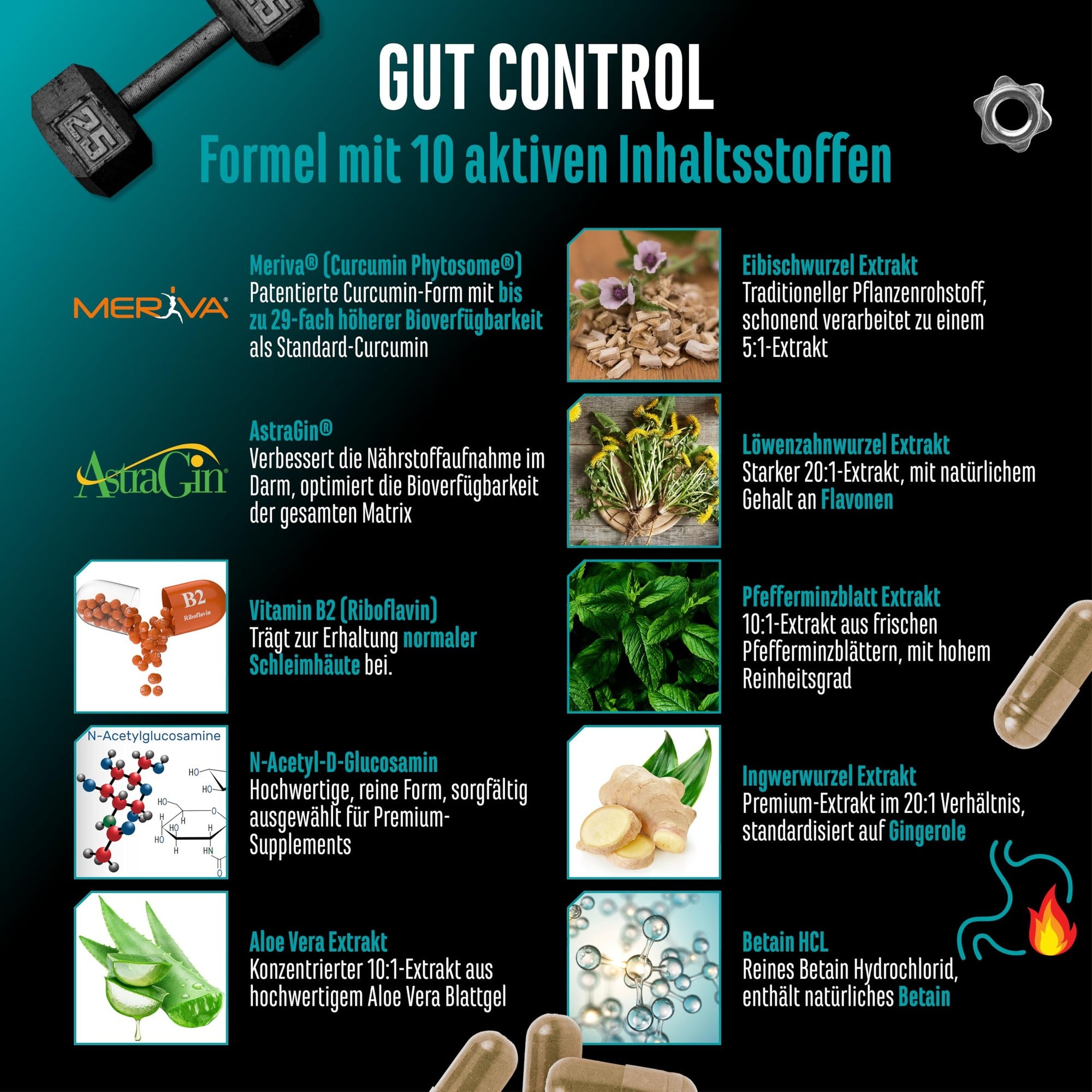 Gut Control – mit Aloe-vera-Extrakt, AstraGin und Vitamin B2, German Elite Nutrition