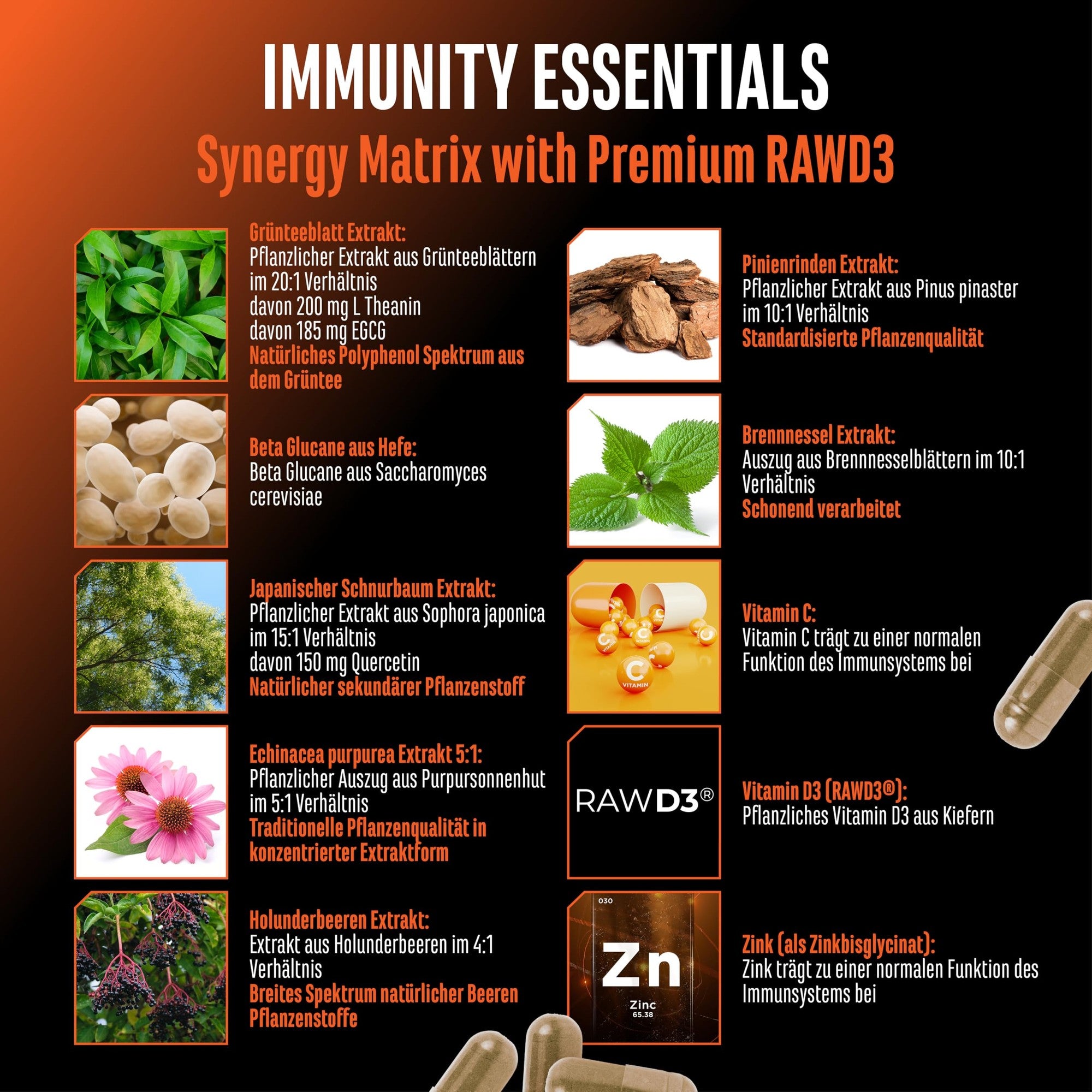 Immunity Essentials von GEN – Inhaltsstoffe: RAWD3, Quercetin und Echinacea für das Immunsystem