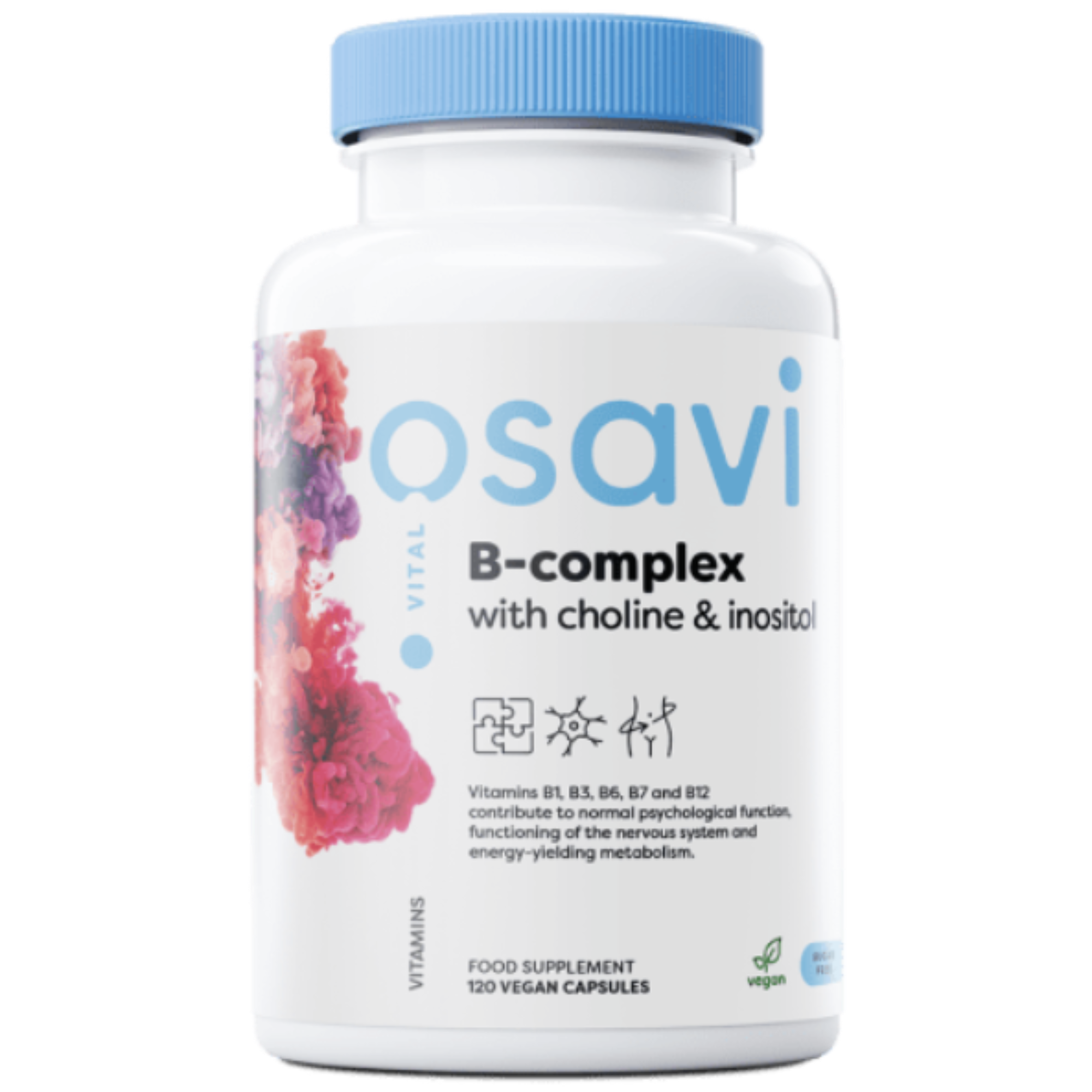 Osavi Vitamin B Complex mit Cholin und Inositol – 120 vegane Kapseln Nahrungsergänzungsmittel