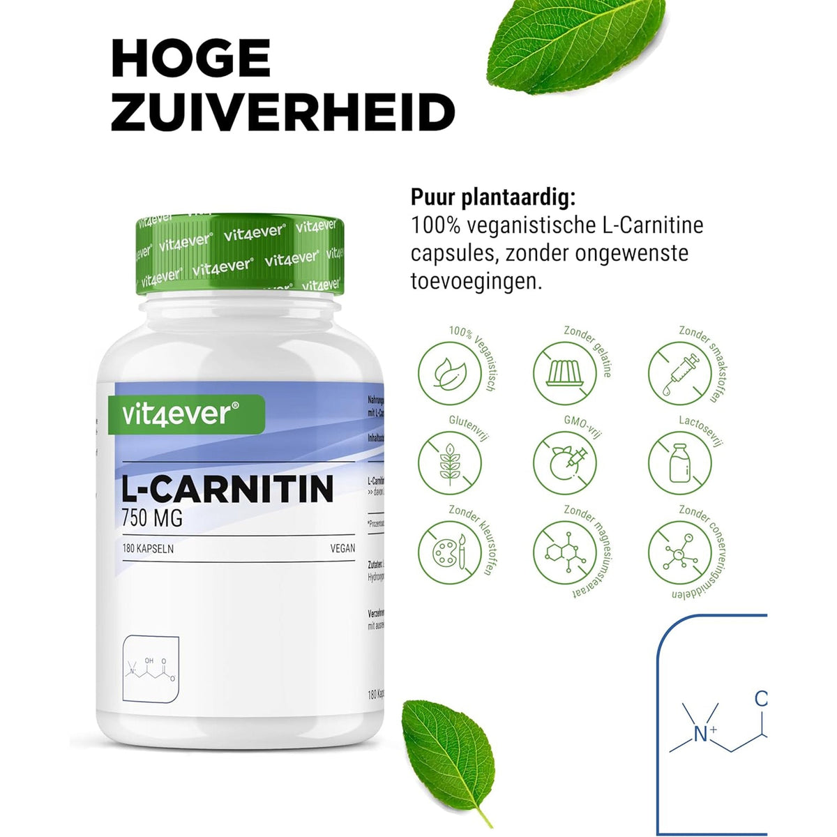 L-Carnitin Tartrat 3000mg | 180 Kapseln | Vit4ever