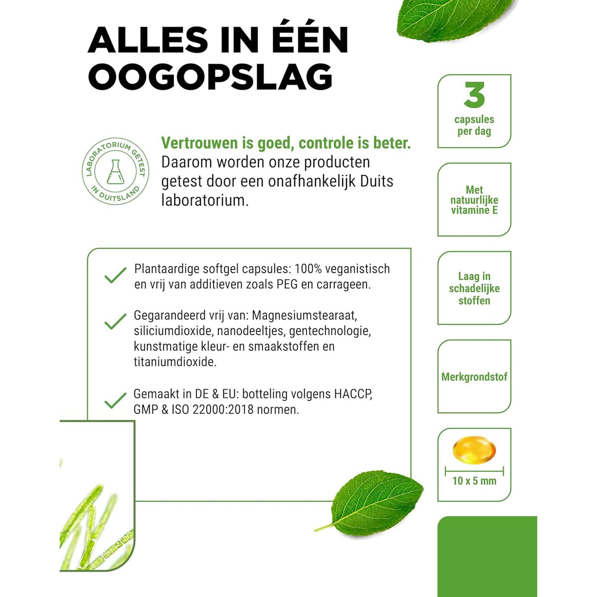 Vegan Omega 3 aus Algenöl | 90 & 120 Softgels | Vit4ever