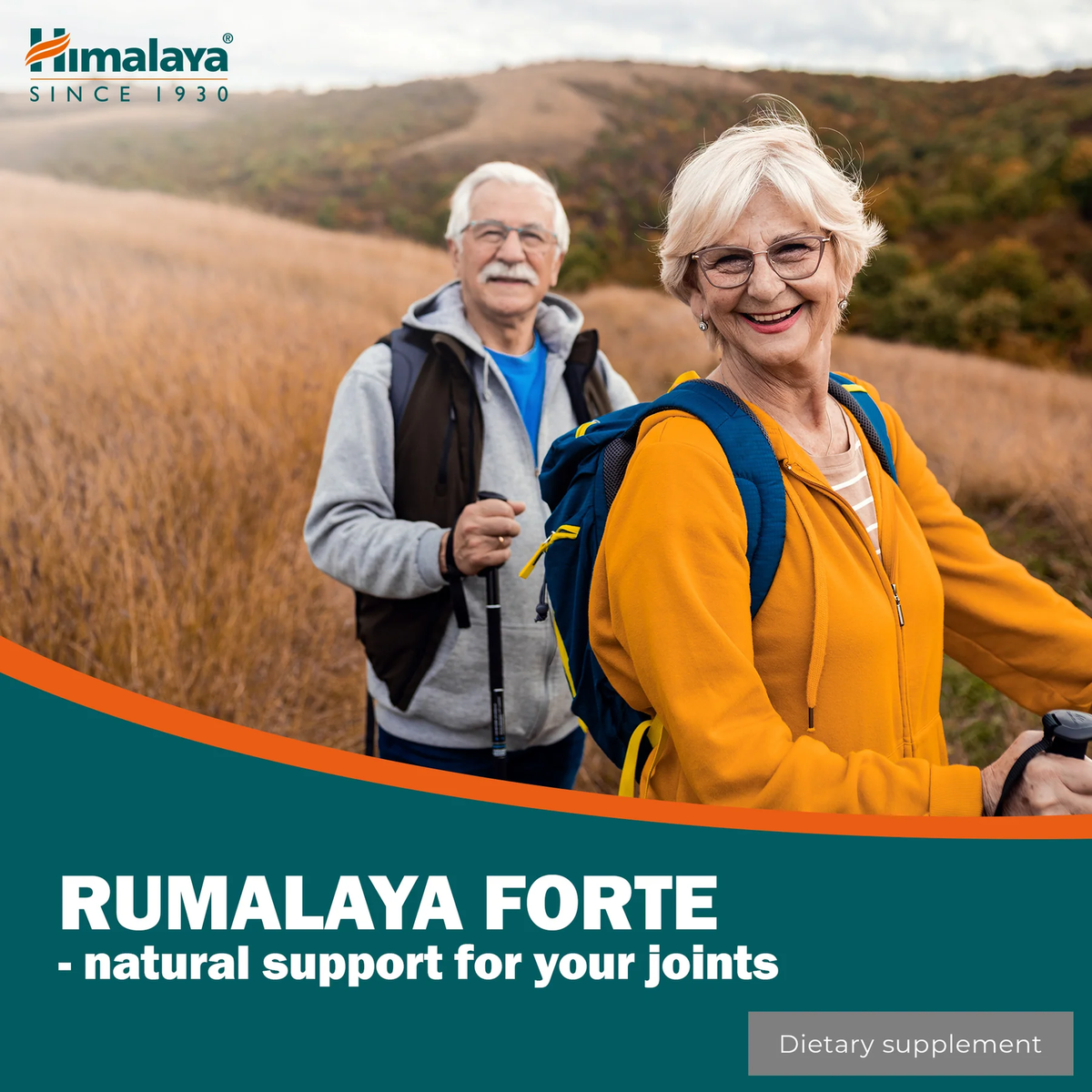 Rumalaya Forte | 60 Tabletten | Himalaya