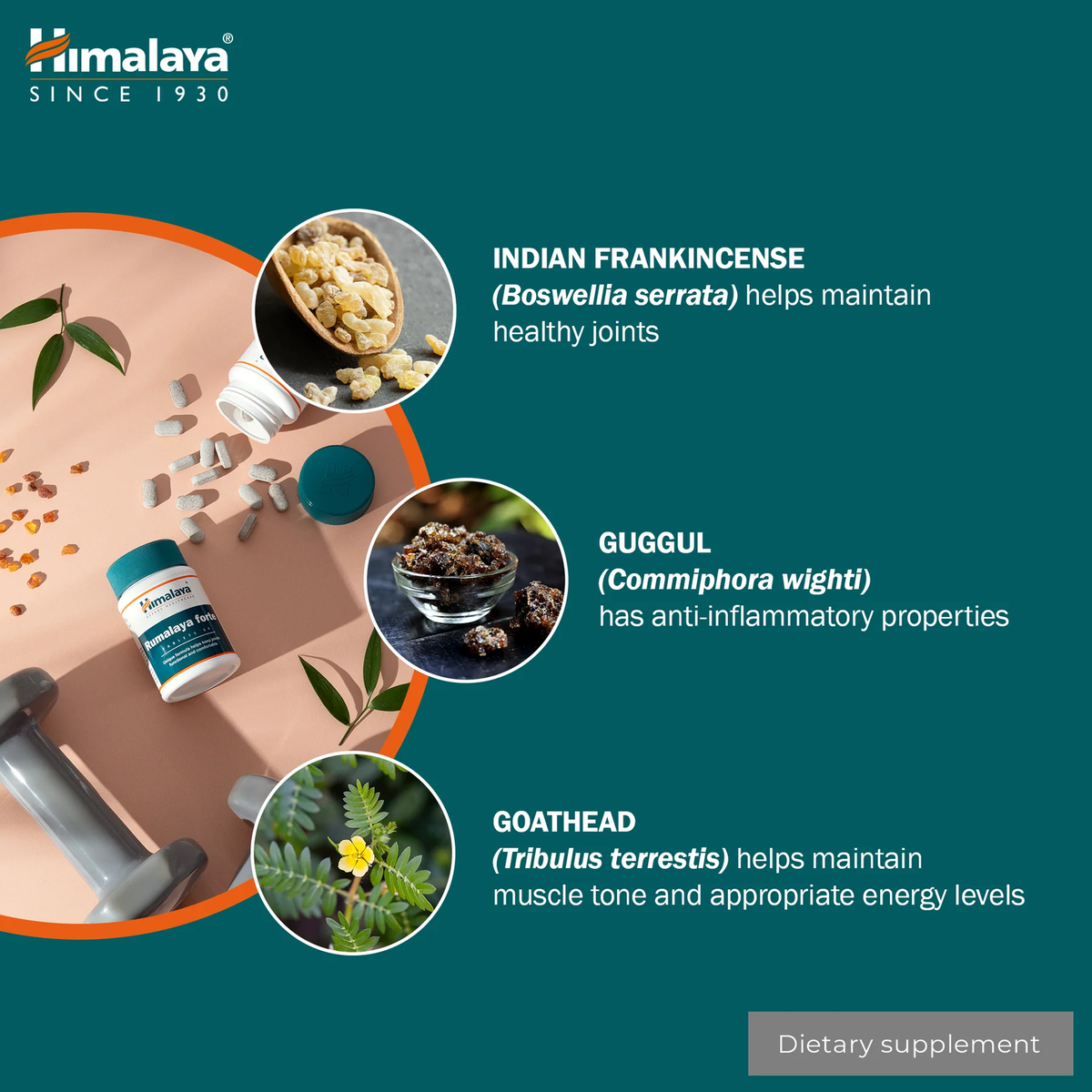 Rumalaya Forte | 60 Tabletten | Himalaya