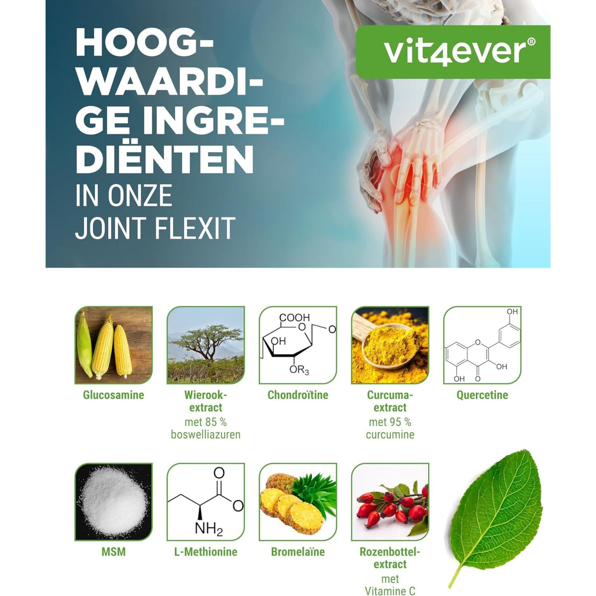 Gelenk Flexit | 180 Kapseln | Vit4ever