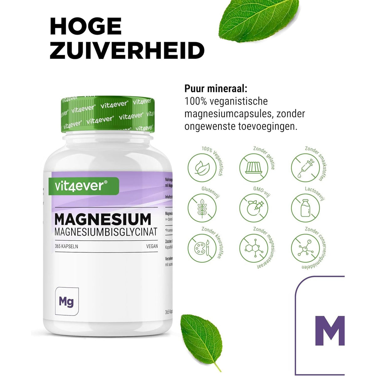 Magnesium Bisglycinat | 240 & 365 Kapseln | Vit4ever