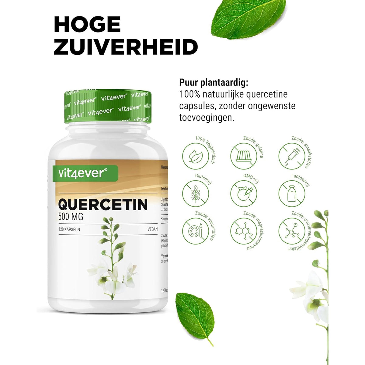 Quercetin (Styphnolobium japonicum-Extrakt) 500 mg | 120 Kapseln | Vit4ever